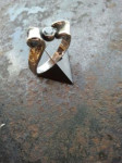 zilver met goudvijlsel, topaas